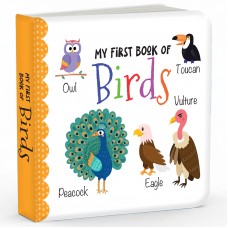 My First Book of Birds 
