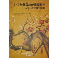 Translated Japanese Short Stories