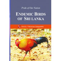 Endemic Birds Of Sri Lanka