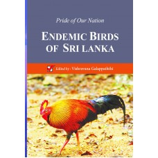 Endemic Birds Of Sri Lanka