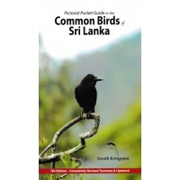 Common  Birds Of Sri Lanka 