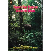 Twenty Five Years Of Life In The Jungle 