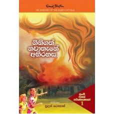 Ginigath Nawathane Abirahasa - ගිනිගත් නවාතැනේ අබිරහස